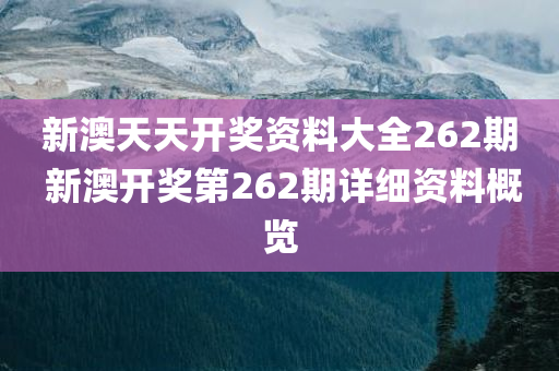 新澳天天开奖资料大全262期 新澳开奖第262期详细资料概览