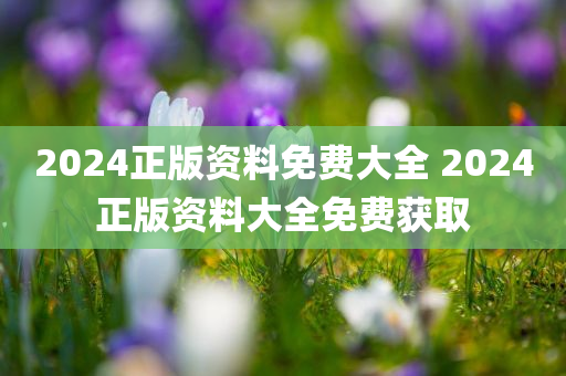 2024正版资料免费大全 2024正版资料大全免费获取