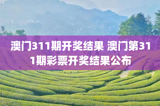 澳门311期开奖结果 澳门第311期彩票开奖结果公布