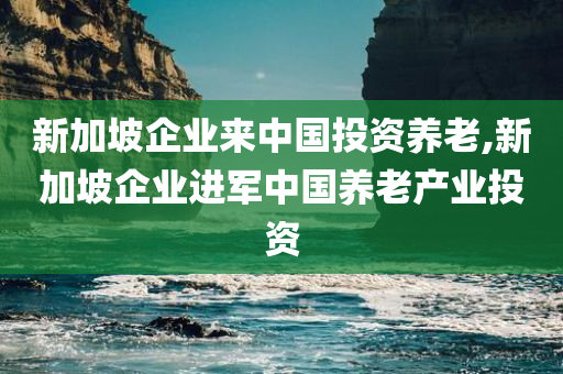 新加坡企业来中国投资养老,新加坡企业进军中国养老产业投资