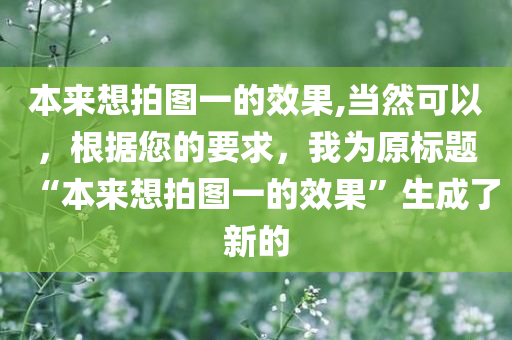 本来想拍图一的效果,当然可以，根据您的要求，我为原标题“本来想拍图一的效果”生成了新的