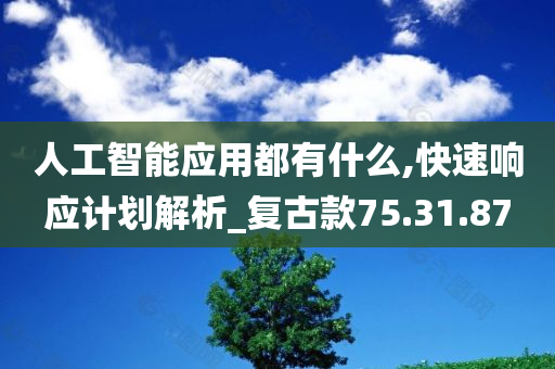 人工智能应用都有什么,快速响应计划解析_复古款75.31.87