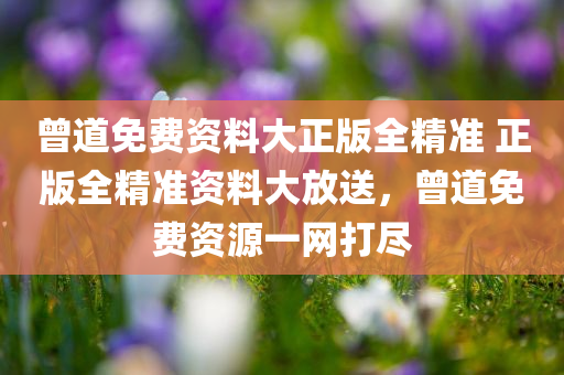 曾道免费资料大正版全精准 正版全精准资料大放送，曾道免费资源一网打尽