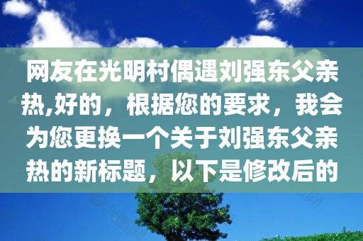 网友在光明村偶遇刘强东父亲热,好的，根据您的要求，我会为您更换一个关于刘强东父亲热的新标题，以下是修改后的