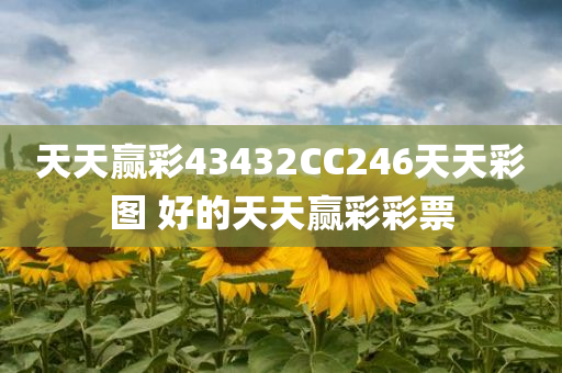 天天赢彩43432CC246天天彩图 好的天天赢彩彩票