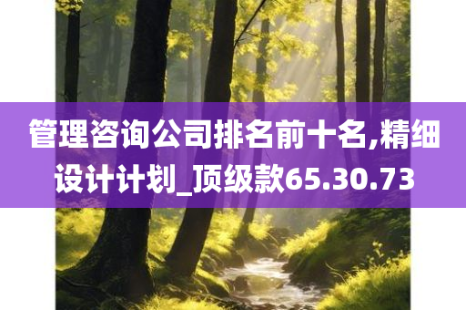 管理咨询公司排名前十名,精细设计计划_顶级款65.30.73