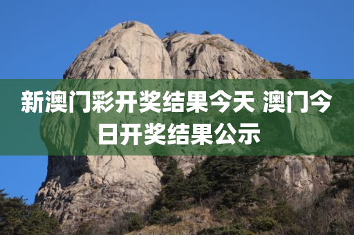 新澳门彩开奖结果今天 澳门今日开奖结果公示