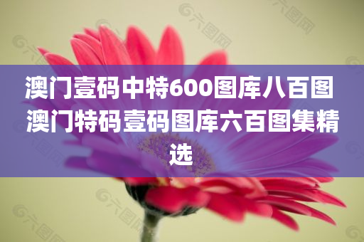 澳门壹码中特600图库八百图 澳门特码壹码图库六百图集精选