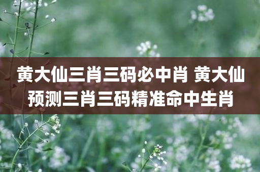 黄大仙三肖三码必中肖 黄大仙预测三肖三码精准命中生肖