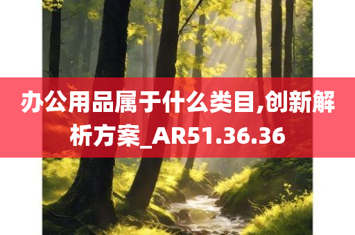 办公用品属于什么类目,创新解析方案_AR51.36.36