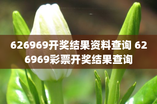 626969开奖结果资料查询 626969彩票开奖结果查询