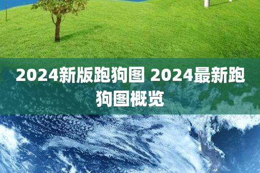 2024新版跑狗图 2024最新跑狗图概览