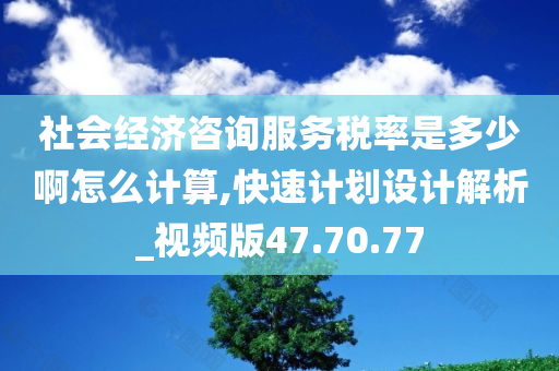 社会经济咨询服务税率是多少啊怎么计算,快速计划设计解析_视频版47.70.77