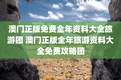 澳门正版免费全年资料大全旅游团 澳门正版全年旅游资料大全免费攻略团