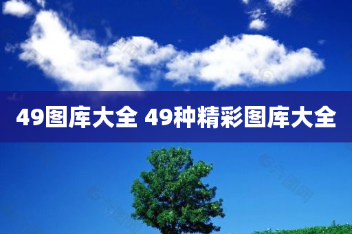 49图库大全 49种精彩图库大全