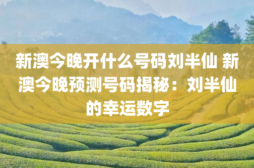 新澳今晚开什么号码刘半仙 新澳今晚预测号码揭秘：刘半仙的幸运数字