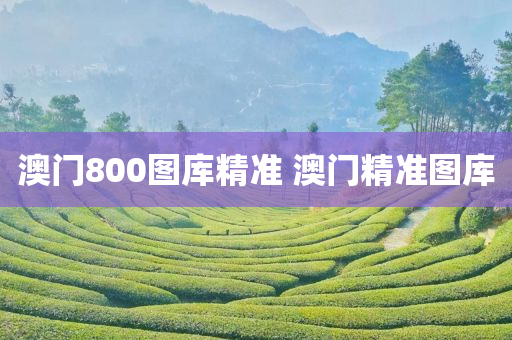 澳门800图库精准 澳门精准图库