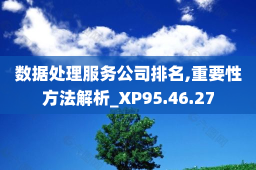 数据处理服务公司排名,重要性方法解析_XP95.46.27