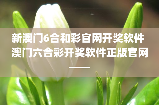 新澳门6合和彩官网开奖软件 澳门六合彩开奖软件正版官网——