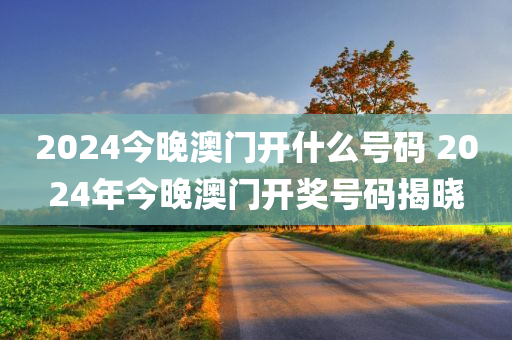 2024今晚澳门开什么号码 2024年今晚澳门开奖号码揭晓