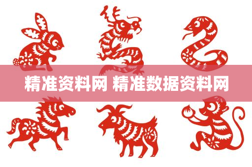 精准资料网 精准数据资料网