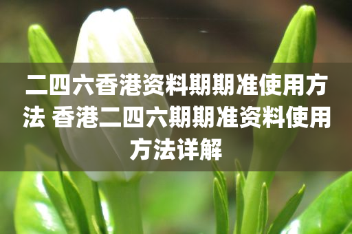 二四六香港资料期期准使用方法 香港二四六期期准资料使用方法详解