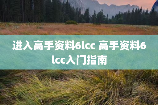 进入高手资料6lcc 高手资料6lcc入门指南