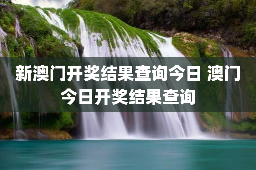 新澳门开奖结果查询今日 澳门今日开奖结果查询