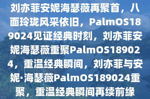 刘亦菲安妮海瑟薇再聚首，八面玲珑风采依旧，PalmOS189024见证经典时刻，刘亦菲安妮海瑟薇重聚PalmOS189024，重温经典瞬间，刘亦菲与安妮·海瑟薇PalmOS189024重聚，重温经典瞬间再续前缘