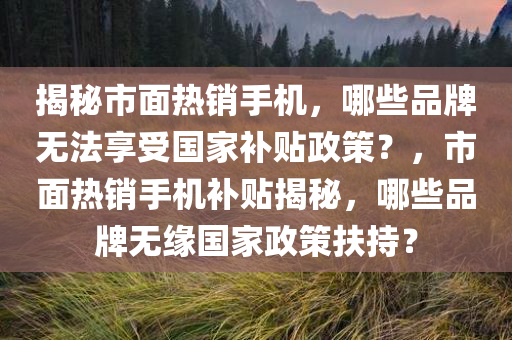 揭秘市面热销手机，哪些品牌无法享受国家补贴政策？，市面热销手机补贴揭秘，哪些品牌无缘国家政策扶持？