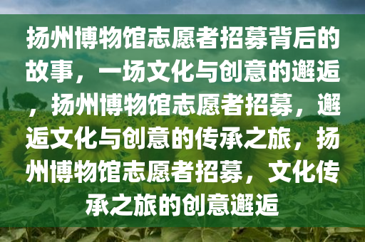 扬州博物馆志愿者招募背后的故事，一场文化与创意的邂逅，扬州博物馆志愿者招募，邂逅文化与创意的传承之旅，扬州博物馆志愿者招募，文化传承之旅的创意邂逅