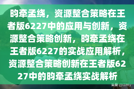 昀牵孟绕，资源整合策略在王者版6227中的应用与创新，资源整合策略创新，昀牵孟绕在王者版6227的实战应用解析，资源整合策略创新在王者版6227中的昀牵孟绕实战解析