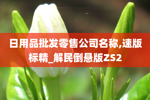 日用品批发零售公司名称,速版标精_解民倒悬版ZS2