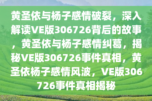 黄圣依与杨子感情破裂，深入解读VE版306726背后的故事，黄圣依与杨子感情纠葛，揭秘VE版306726事件真相，黄圣依杨子感情风波，VE版306726事件真相揭秘