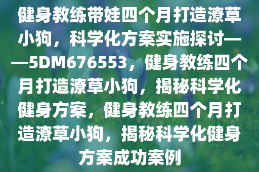 健身教练带娃四个月打造潦草小狗，科学化方案实施探讨——5DM676553，健身教练四个月打造潦草小狗，揭秘科学化健身方案，健身教练四个月打造潦草小狗，揭秘科学化健身方案成功案例