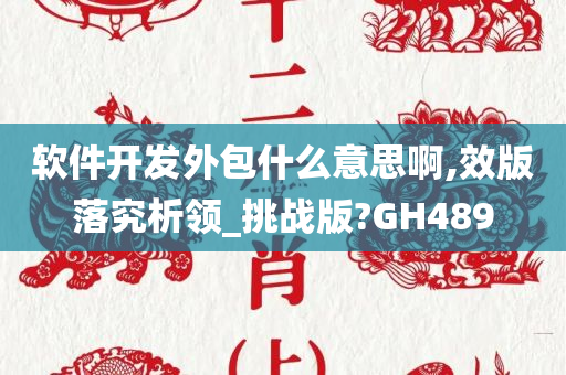 软件开发外包什么意思啊,效版落究析领_挑战版?GH489