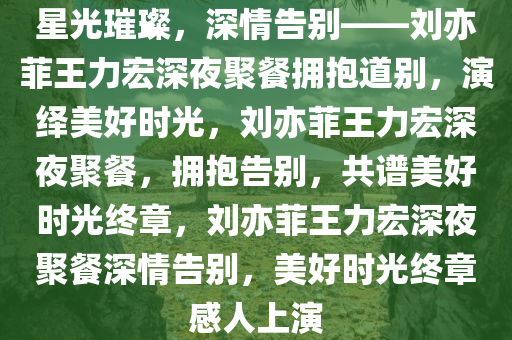 星光璀璨，深情告别——刘亦菲王力宏深夜聚餐拥抱道别，演绎美好时光，刘亦菲王力宏深夜聚餐，拥抱告别，共谱美好时光终章，刘亦菲王力宏深夜聚餐深情告别，美好时光终章感人上演