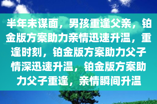 半年未谋面，男孩重逢父亲，铂金版方案助力亲情迅速升温，重逢时刻，铂金版方案助力父子情深迅速升温，铂金版方案助力父子重逢，亲情瞬间升温