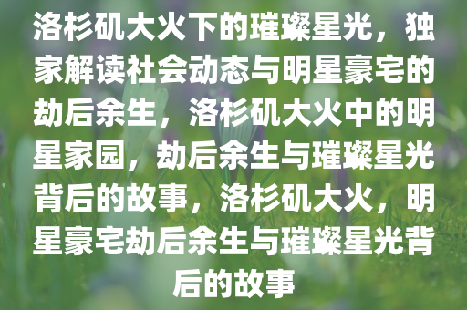 洛杉矶大火下的璀璨星光，独家解读社会动态与明星豪宅的劫后余生，洛杉矶大火中的明星家园，劫后余生与璀璨星光背后的故事，洛杉矶大火，明星豪宅劫后余生与璀璨星光背后的故事