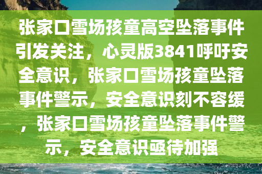 张家口雪场孩童高空坠落事件引发关注，心灵版3841呼吁安全意识，张家口雪场孩童坠落事件警示，安全意识刻不容缓，张家口雪场孩童坠落事件警示，安全意识亟待加强