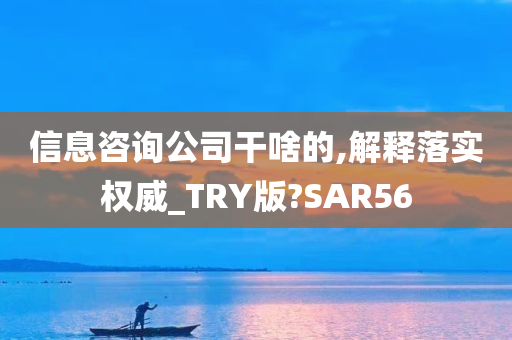 信息咨询公司干啥的,解释落实权威_TRY版?SAR56