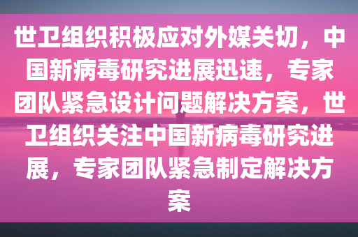 世卫组织积极应对外媒关切，中国新病毒研究进展迅速，专家团队紧急设计问题解决方案，世卫组织关注中国新病毒研究进展，专家团队紧急制定解决方案