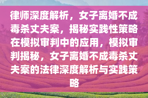 律师深度解析，女子离婚不成毒杀丈夫案，揭秘实践性策略在模拟审判中的应用，模拟审判揭秘，女子离婚不成毒杀丈夫案的法律深度解析与实践策略