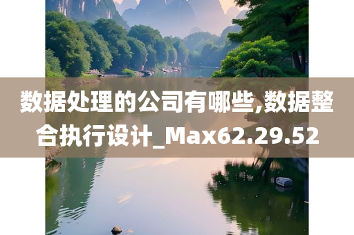 数据处理的公司有哪些,数据整合执行设计_Max62.29.52