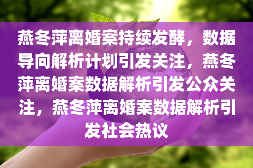 燕冬萍离婚案持续发酵，数据导向解析计划引发关注，燕冬萍离婚案数据解析引发公众关注，燕冬萍离婚案数据解析引发社会热议