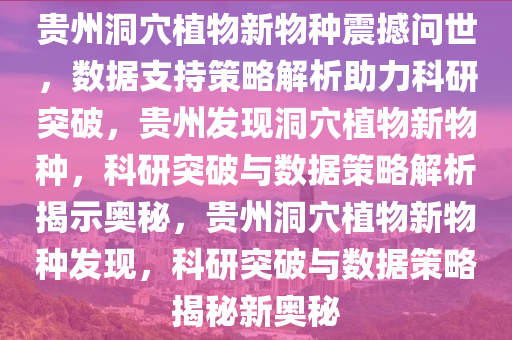 贵州洞穴植物新物种震撼问世，数据支持策略解析助力科研突破，贵州发现洞穴植物新物种，科研突破与数据策略解析揭示奥秘，贵州洞穴植物新物种发现，科研突破与数据策略揭秘新奥秘