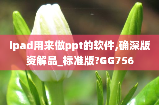 ipad用来做ppt的软件,确深版资解品_标准版?GG756