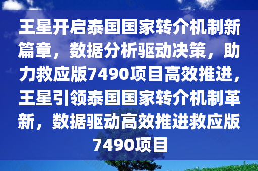 王星开启泰国国家转介机制新篇章，数据分析驱动决策，助力救应版7490项目高效推进，王星引领泰国国家转介机制革新，数据驱动高效推进救应版7490项目