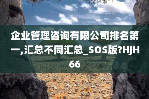 企业管理咨询有限公司排名第一,汇总不同汇总_SOS版?HJH66