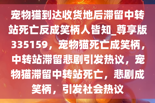 宠物猫到达收货地后滞留中转站死亡反成笑柄人皆知_尊享版335159，宠物猫死亡成笑柄，中转站滞留悲剧引发热议，宠物猫滞留中转站死亡，悲剧成笑柄，引发社会热议